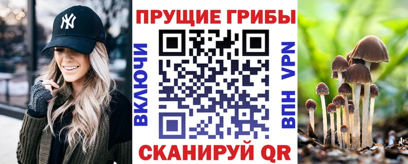 Купить  Десногорск  Псилоцибиновые грибы мухоморы 